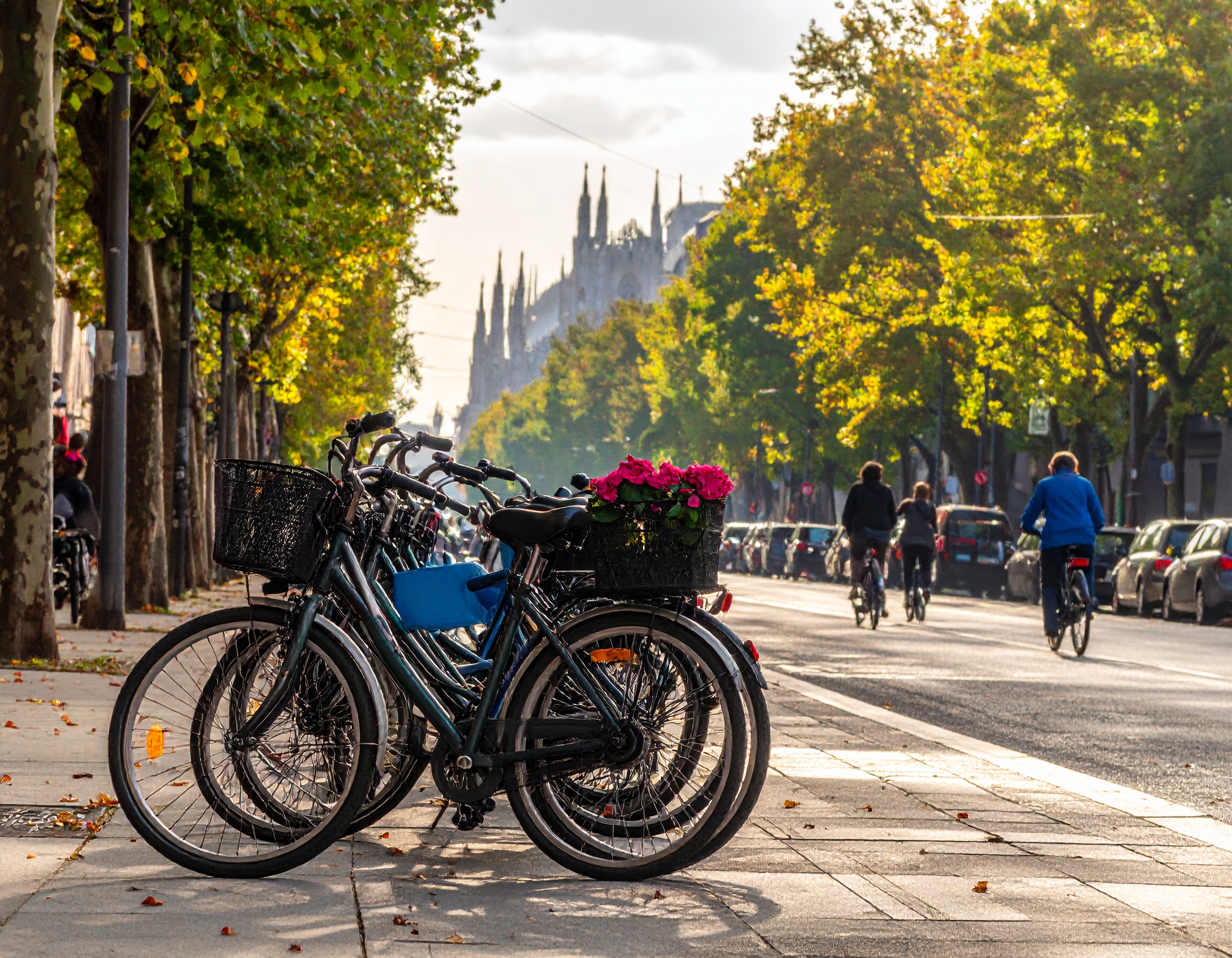 Bici